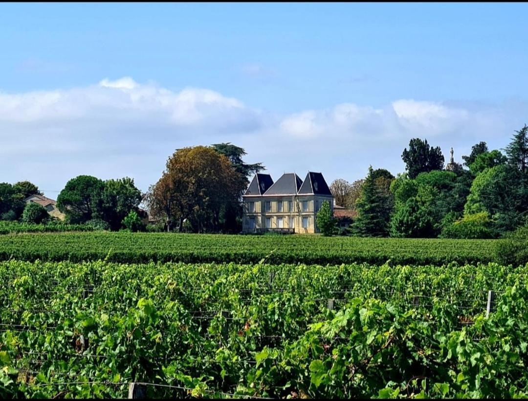 Chateau Tanesse De Tourny Bayon Zewnętrze zdjęcie