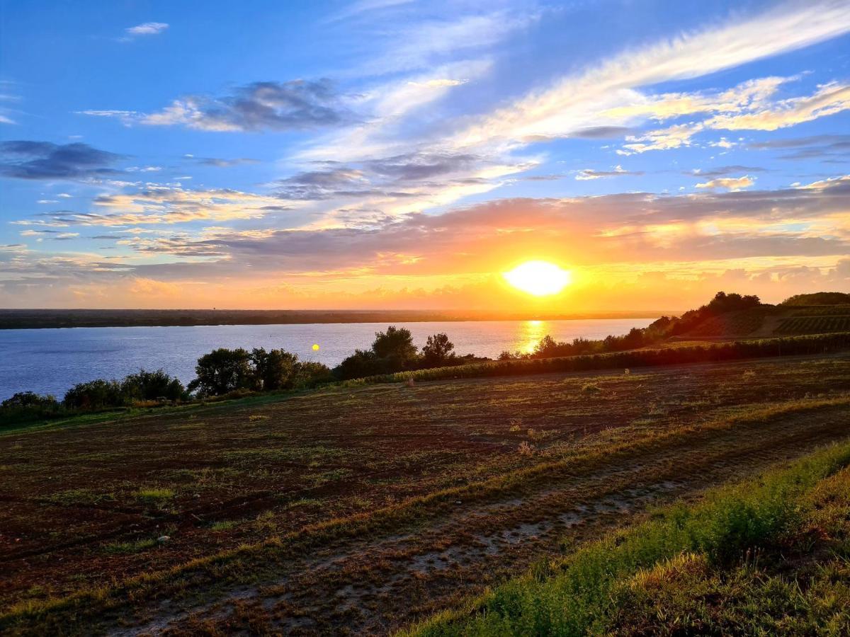 Chateau Tanesse De Tourny Bayon Zewnętrze zdjęcie